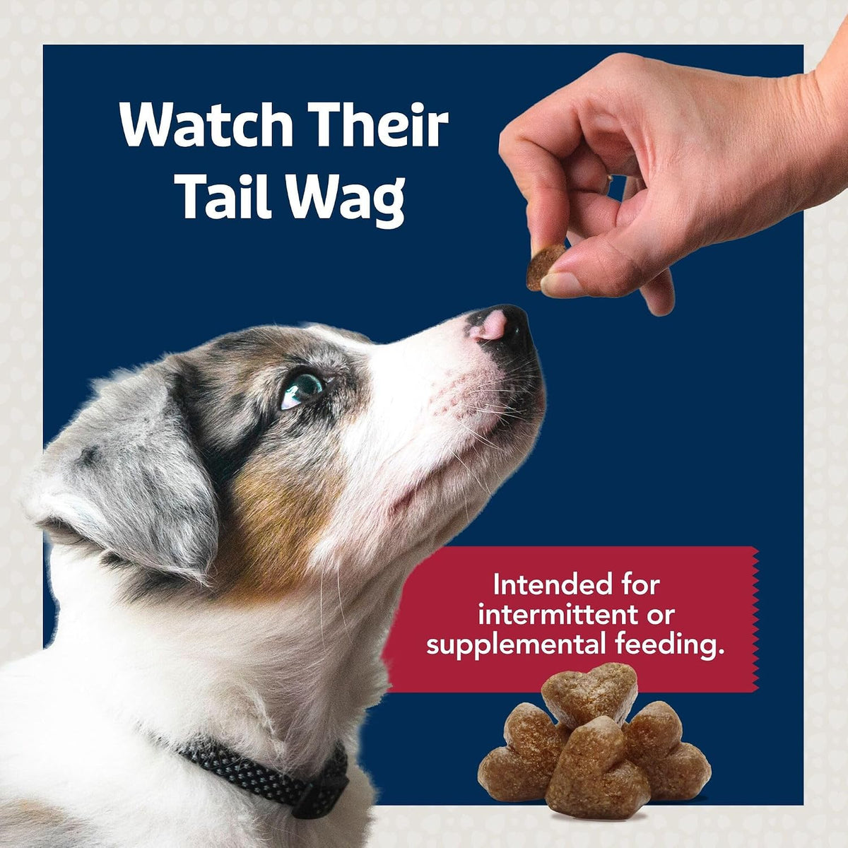 Blue Buffalo Health Bars Pumpkin & Cinnamon Dog Biscuits, 16 oz Father Jim Norris notebooks