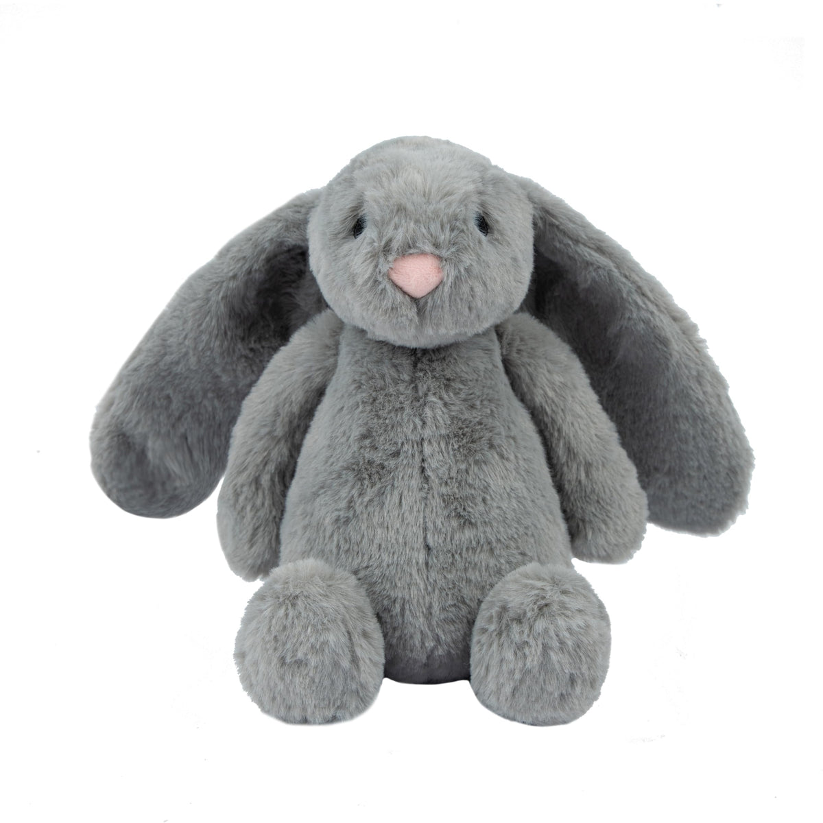 Best Pet Supplies Interactive Squeaky Dog Toy - Crinkle Duck, Blue Father Jim Norris notebooks