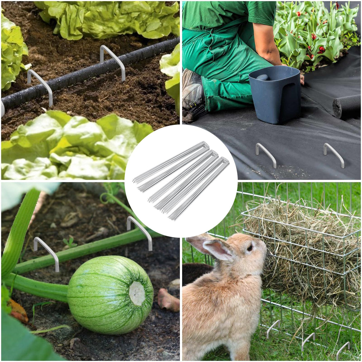 FEED GARDEN 4 Inch 25 Pack Galvanized Landscape Staples 12 Gauge Anti-Rust Garden Stakes Landscaping Fabric SOD Pins Yard Stakes for Weed Barrier Fabric Father Jim Norris notebooks