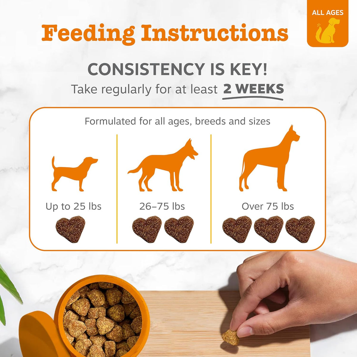 Zesty Paws Dog Allergy Chews - Dog Allergy Relief, Lamb, 90 Ct Father Jim Norris notebooks