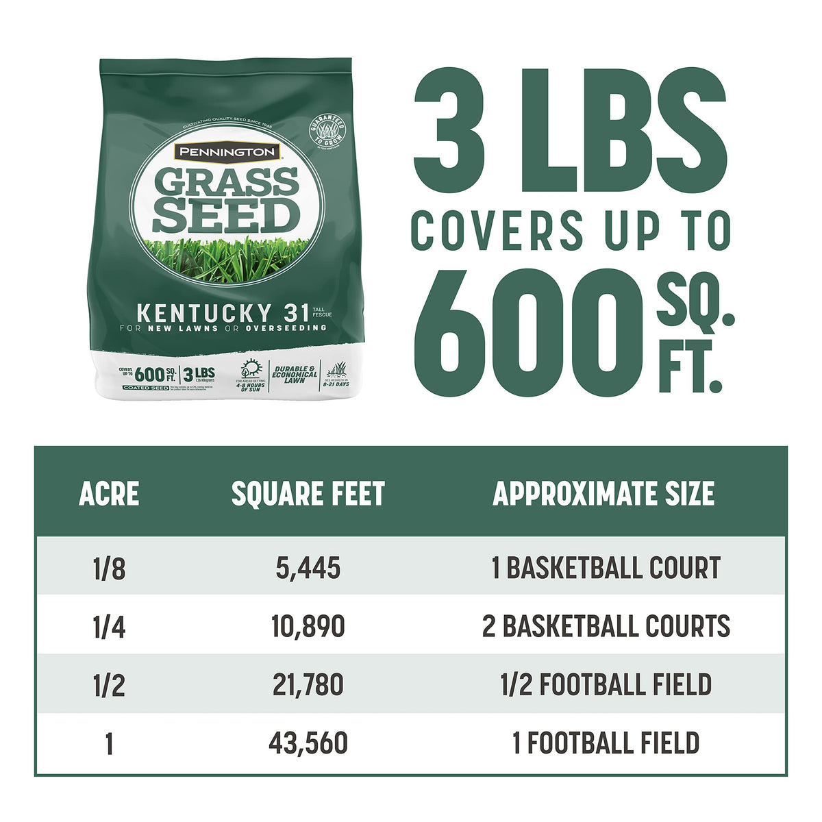Pennington Kentucky 31 Tall Fescue Grass Seed, Drought-Resistant, 7 LB Father Jim Norris notebooks