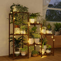 Bamworld Plant Stand Indoor with Flower Fairy Lights Battery Plant Shelf Father Jim Norris notebooks