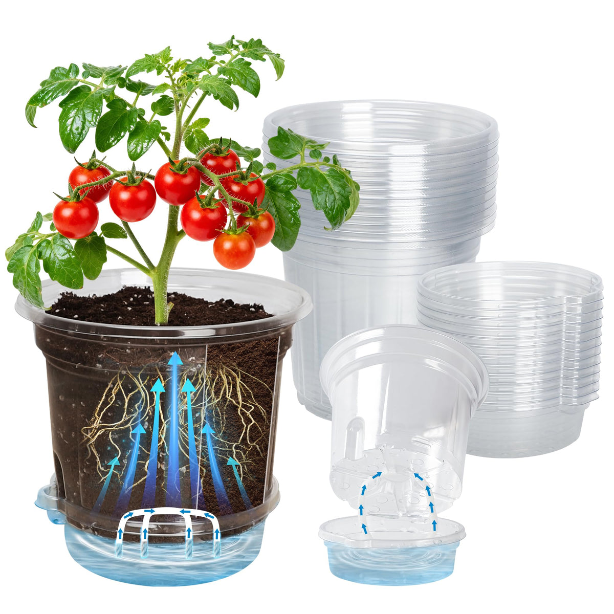 Bluepro Clear Nursery Pots with Humidity Domes, 4 Inch, 30-Pack Father Jim Norris notebooks