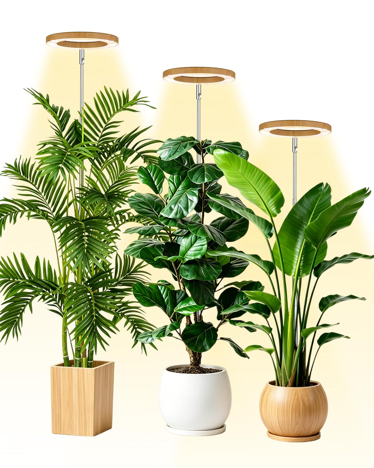 Yadoker 144 LEDs Full Spectrum Plant Grow Light for Indoor Plants,Height Adjustable, 6.3" Aluminum Housing,Automatic Timer with 8/12/16 Hours,10-Level Brightness,Black Plant Light with Base,2 Pack Father Jim Norris notebooks