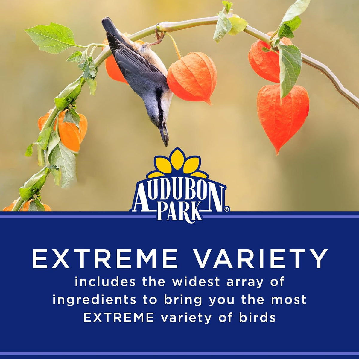 Audubon Park Extreme Variety Wild Bird Seed for Outside Feeders, 15-lb. Bag Father Jim Norris notebooks