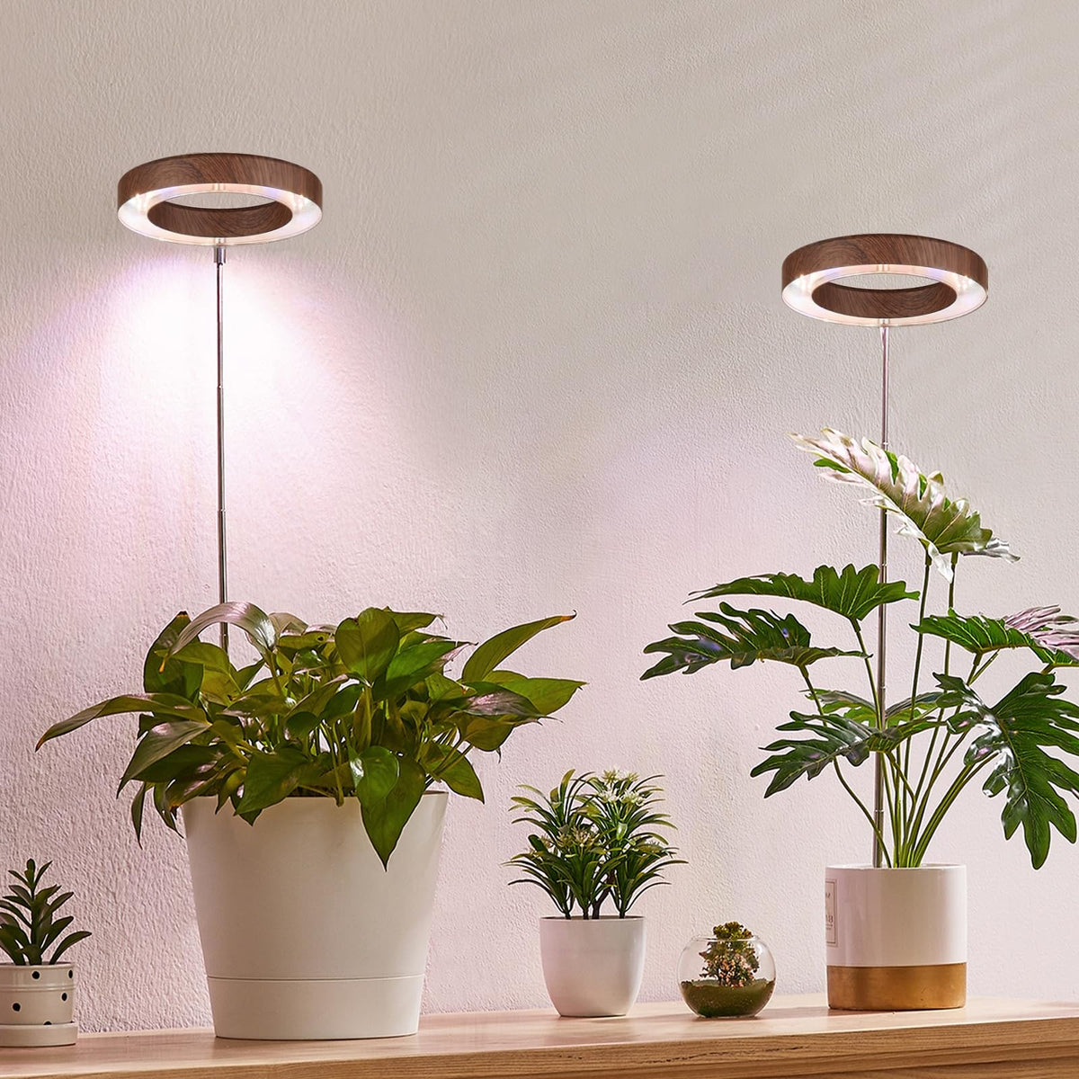 Yadoker 144 LEDs Full Spectrum Plant Grow Light for Indoor Plants,Height Adjustable, 6.3" Aluminum Housing,Automatic Timer with 8/12/16 Hours,10-Level Brightness,Black Plant Light with Base,2 Pack Father Jim Norris notebooks