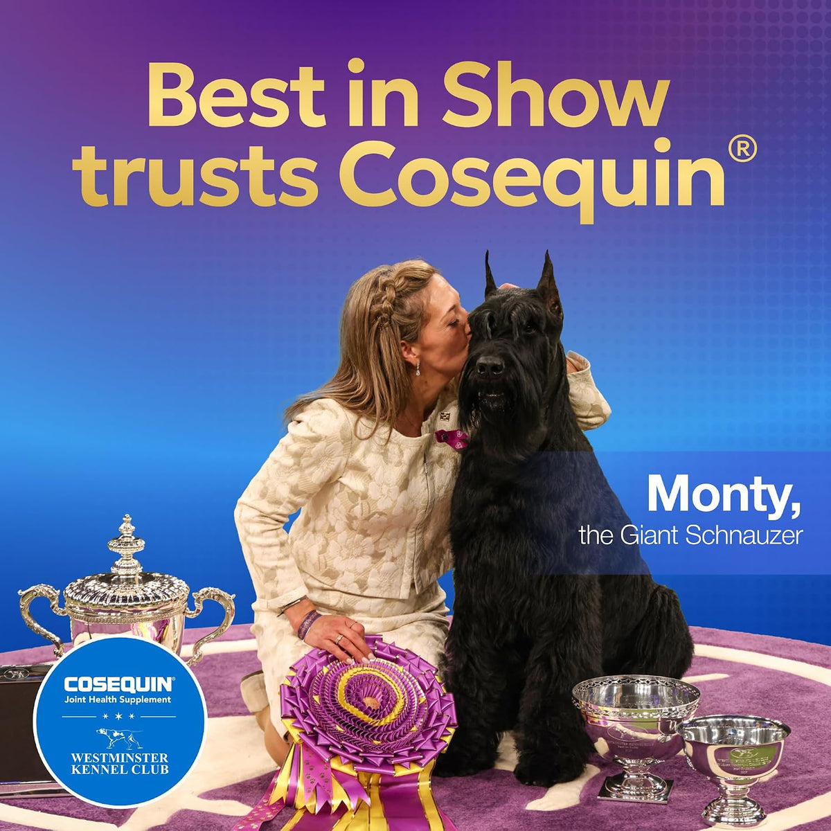 Nutramax Cosequin Joint Supplement for Dogs, Chewable Tablets, 132ct Father Jim Norris notebooks