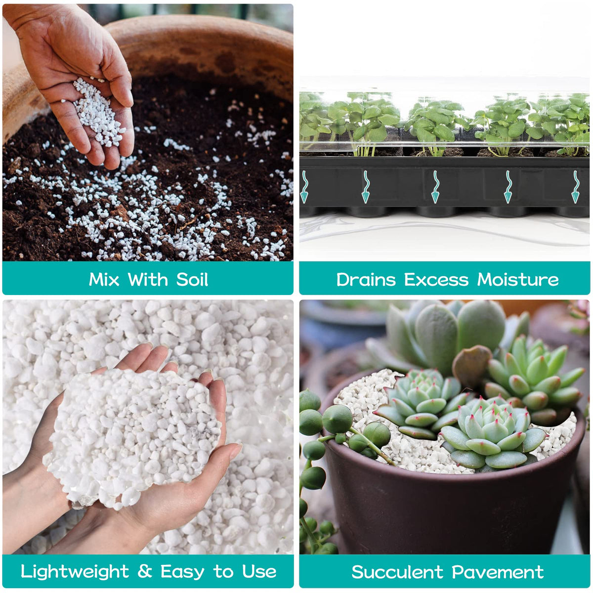 Legigo 4 Quarts Organic Perlite for Plants Indoor, Soil Mix Amendment Father Jim Norris notebooks