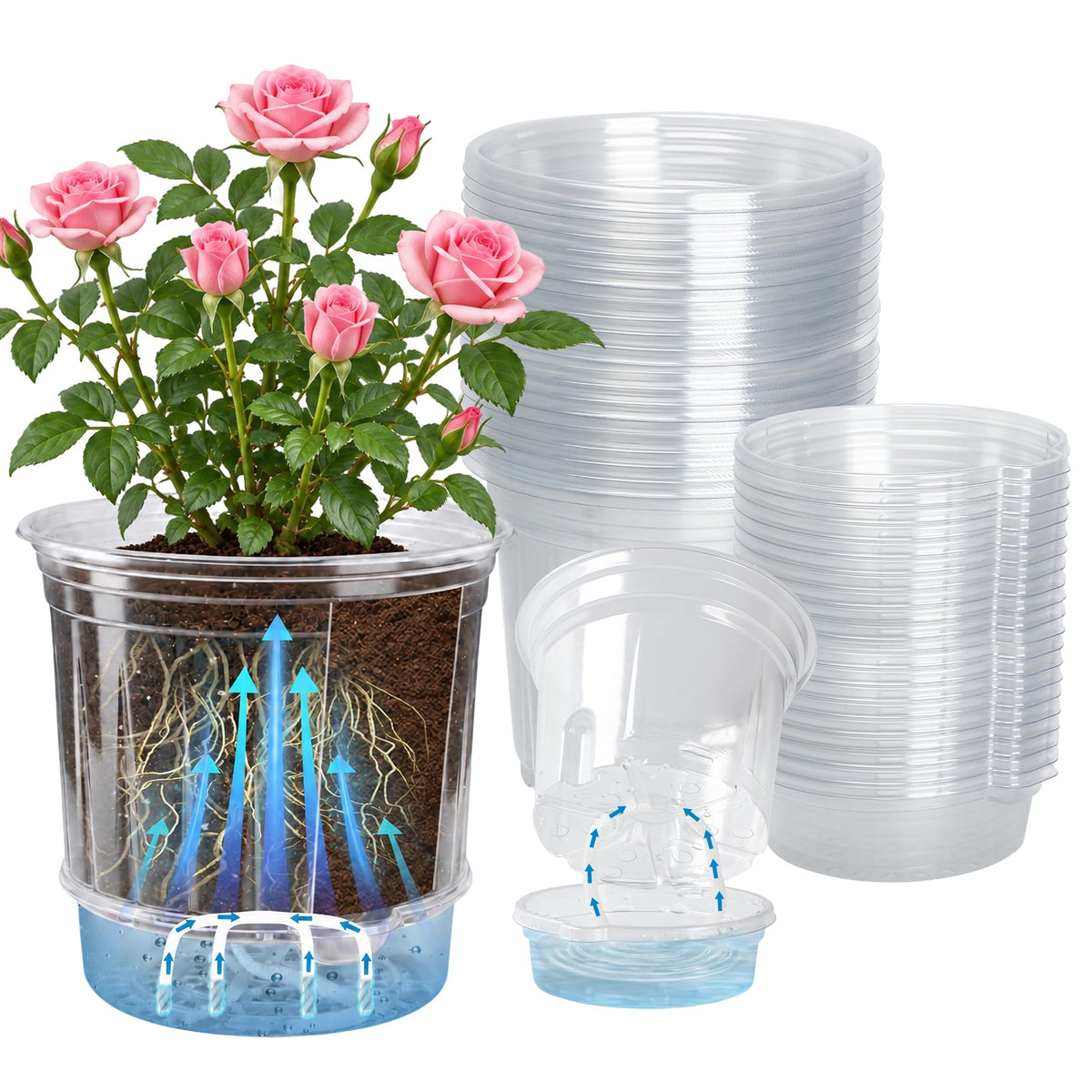 Bluepro Clear Nursery Pots with Humidity Domes, 4 Inch, 30-Pack Father Jim Norris notebooks