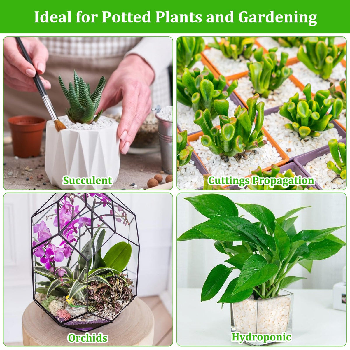 Legigo 4 Quarts Organic Perlite for Plants Indoor, Soil Mix Amendment Father Jim Norris notebooks