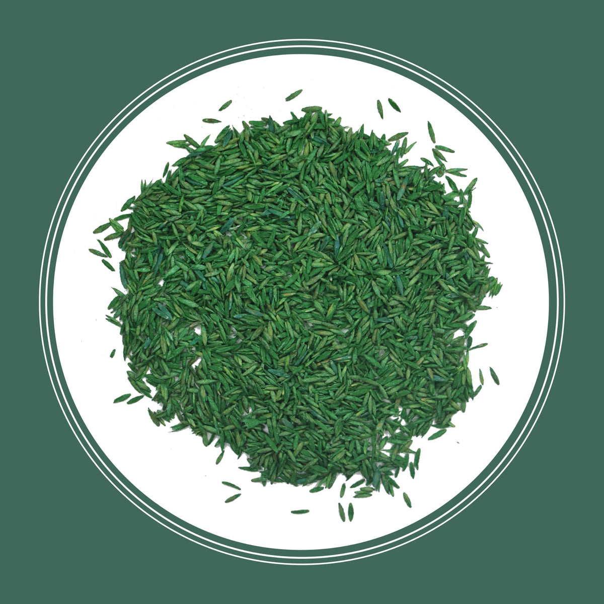 Pennington Kentucky 31 Tall Fescue Grass Seed, Drought-Resistant, 7 LB Father Jim Norris notebooks