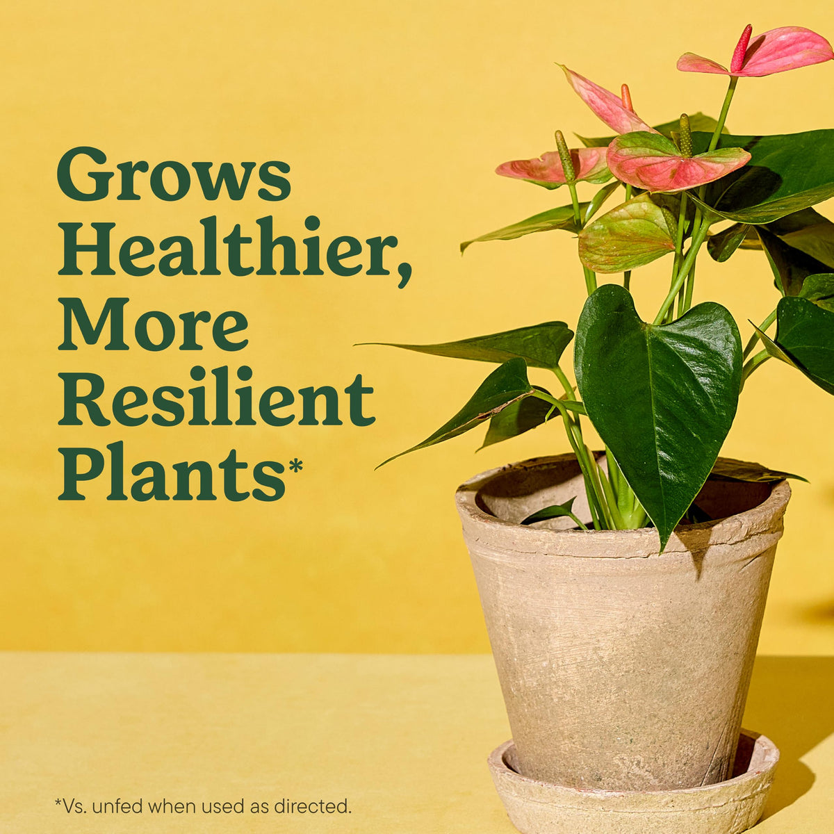 Miracle-Gro Indoor Plant Grow, Feed & Protect Houseplant Care Bundle Father Jim Norris notebooks