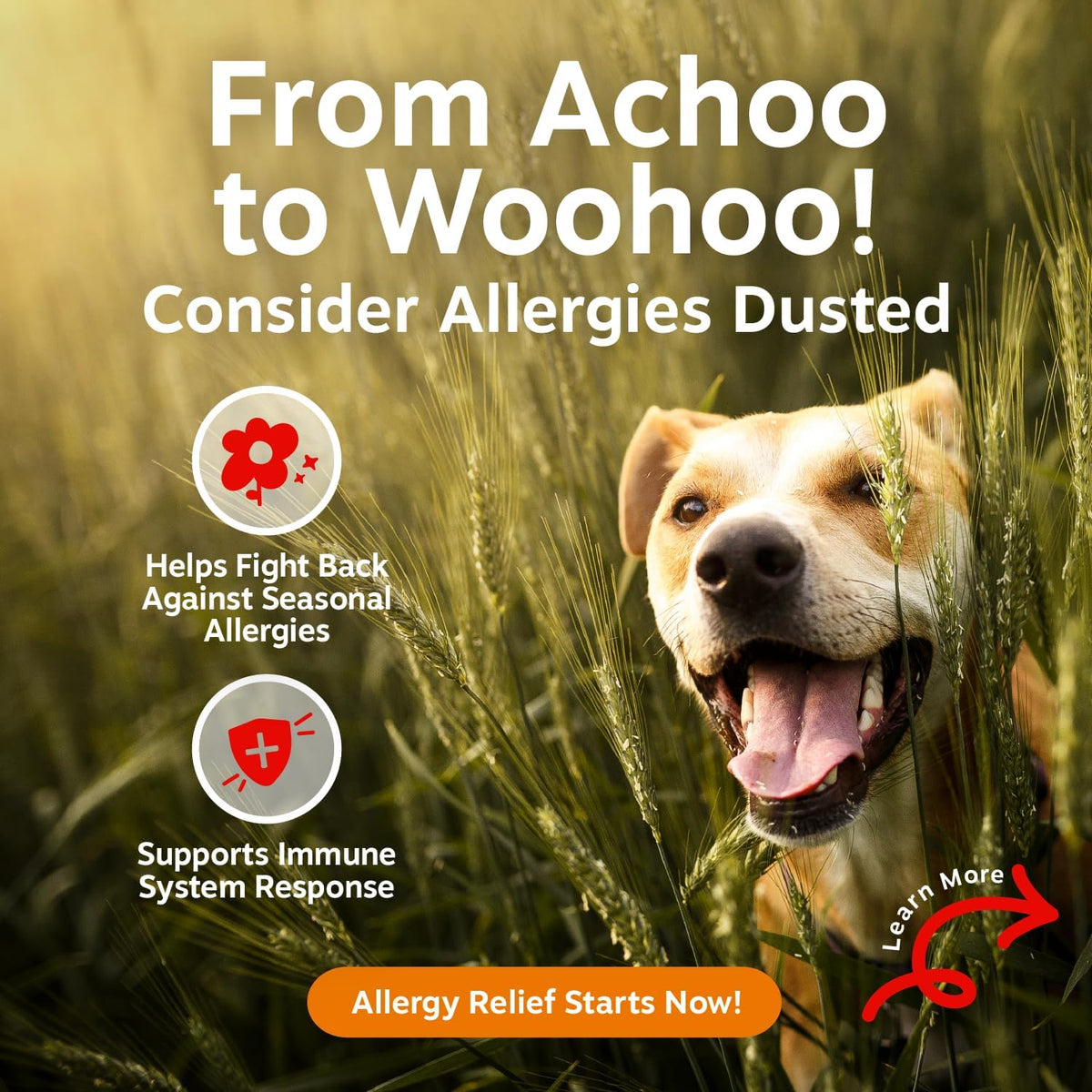 Zesty Paws Dog Allergy Chews - Dog Allergy Relief, Lamb, 90 Ct Father Jim Norris notebooks