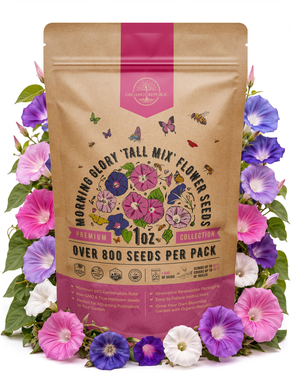 Cosmos Flower Seeds Pack 1 oz - 4,500 Non-GMO Heirloom Annual Seeds for Planting Indoor & Outdoor Gardening, Flower Seed for Garden in Resealable Packet, Floral Mix for Pollinators Perennial Mix Father Jim Norris notebooks