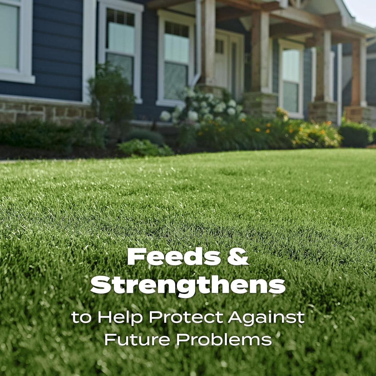 Scotts Turf Builder Lawn Food, 37.50 lbs. Father Jim Norris notebooks