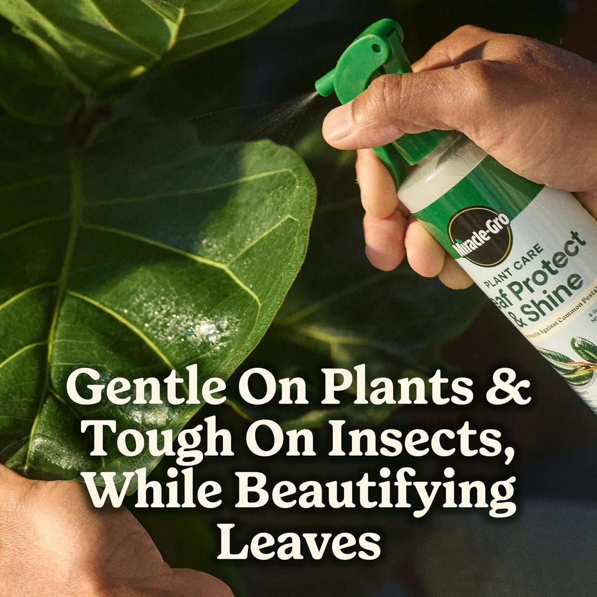 Miracle-Gro Indoor Plant Grow, Feed & Protect Houseplant Care Bundle Father Jim Norris notebooks