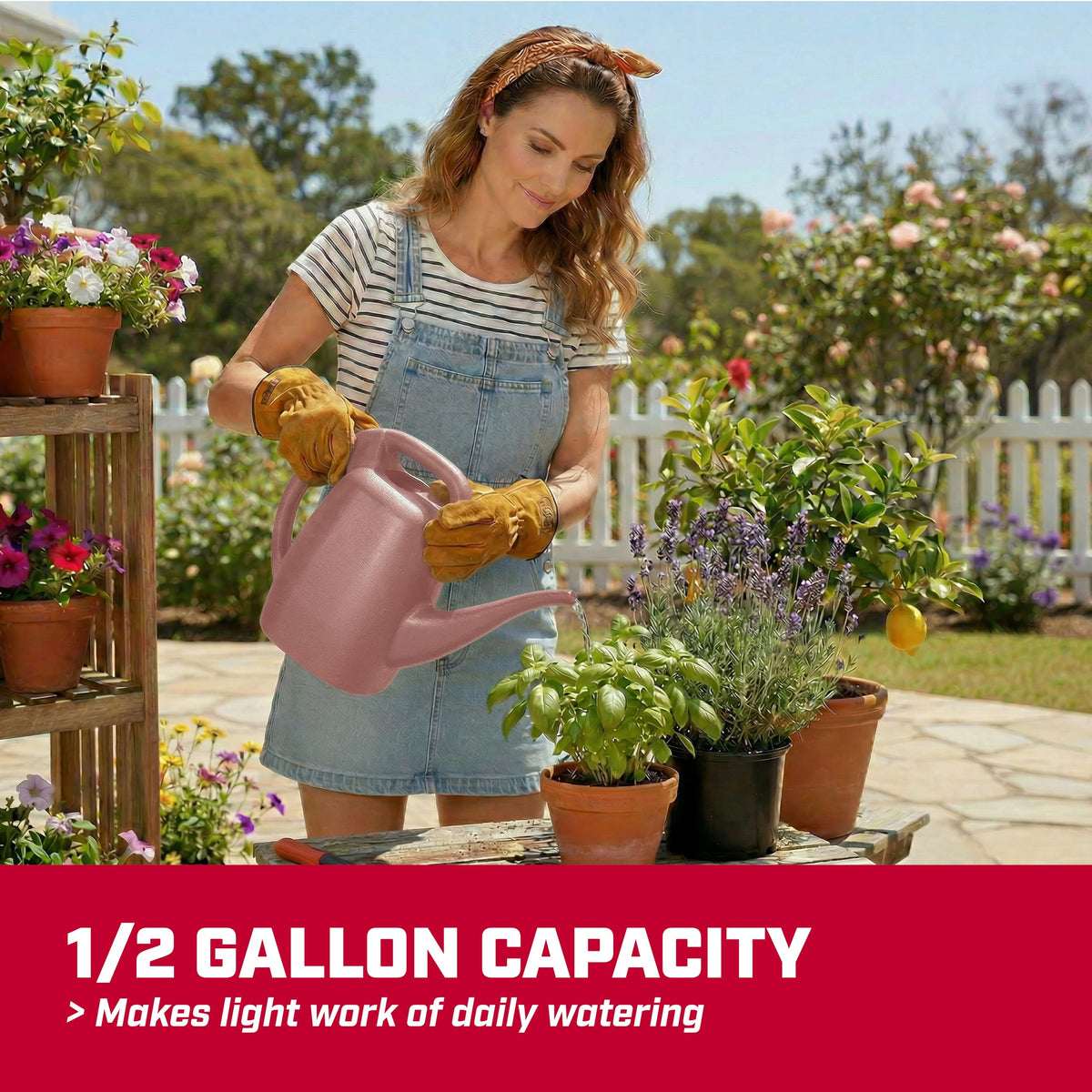 CHAPIN 48000 1/2-Gallon Watering Can, Lightweight for Easy Watering Father Jim Norris notebooks