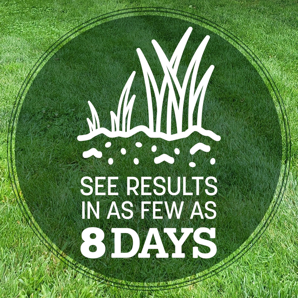 Pennington Kentucky 31 Tall Fescue Grass Seed, Drought-Resistant, 7 LB Father Jim Norris notebooks