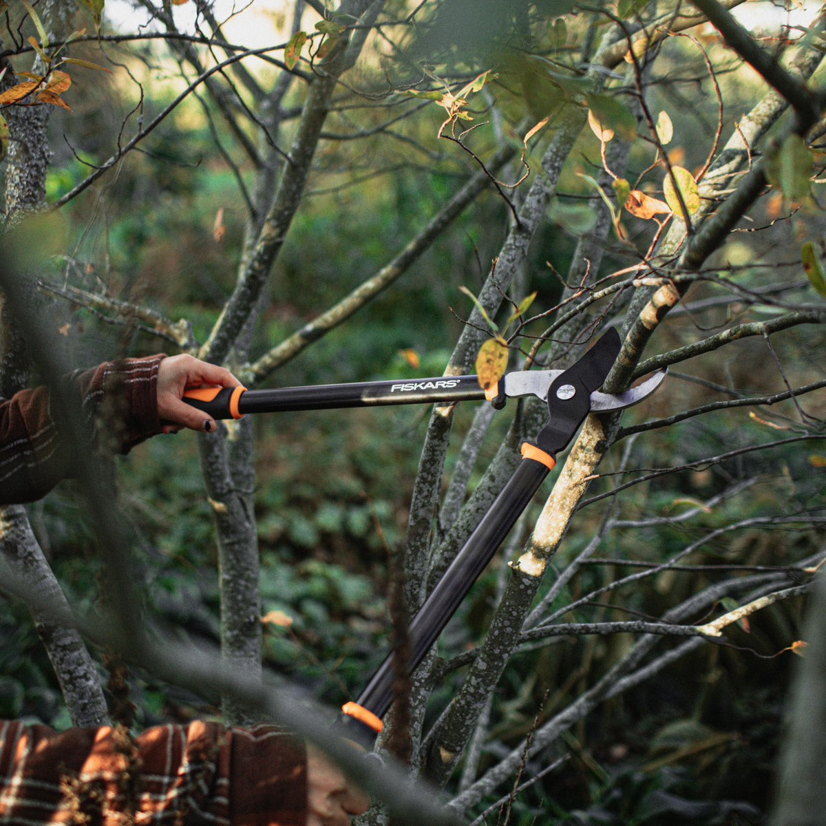 Fiskars 28” Garden Bypass Loppers, Tree Trimmer with 1.5" Cut Capacity Father Jim Norris notebooks