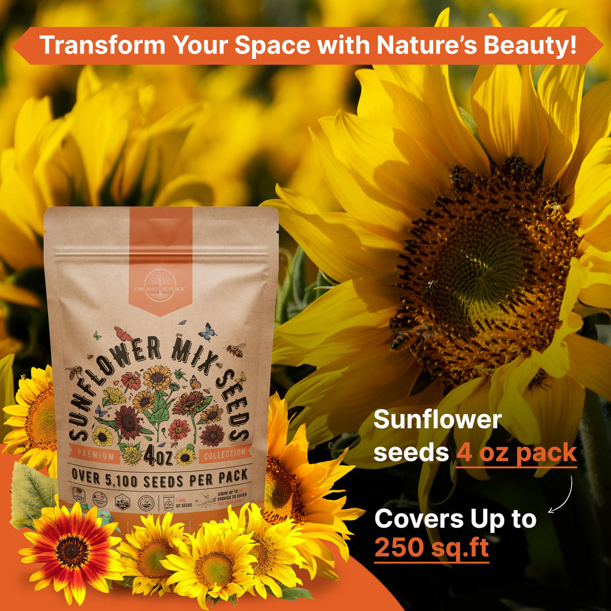 Cosmos Flower Seeds Pack 1 oz - 4,500 Non-GMO Heirloom Annual Seeds for Planting Indoor & Outdoor Gardening, Flower Seed for Garden in Resealable Packet, Floral Mix for Pollinators Perennial Mix Father Jim Norris notebooks