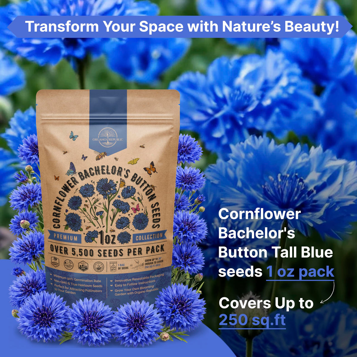 Cosmos Flower Seeds Pack 1 oz - 4,500 Non-GMO Heirloom Annual Seeds for Planting Indoor & Outdoor Gardening, Flower Seed for Garden in Resealable Packet, Floral Mix for Pollinators Perennial Mix Father Jim Norris notebooks