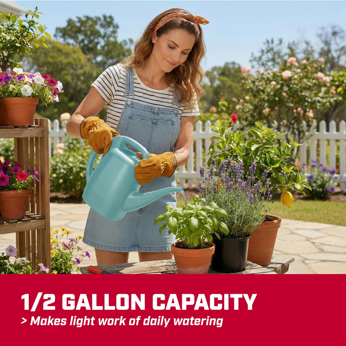 CHAPIN 48000 1/2-Gallon Watering Can, Lightweight for Easy Watering Father Jim Norris notebooks