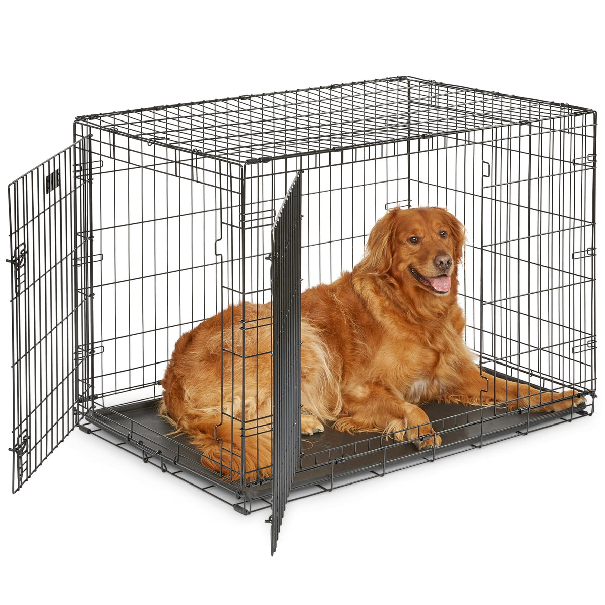 Midwest 36-Inch Single Door iCrate, for Medium-Large Breeds, 41-70 lbs