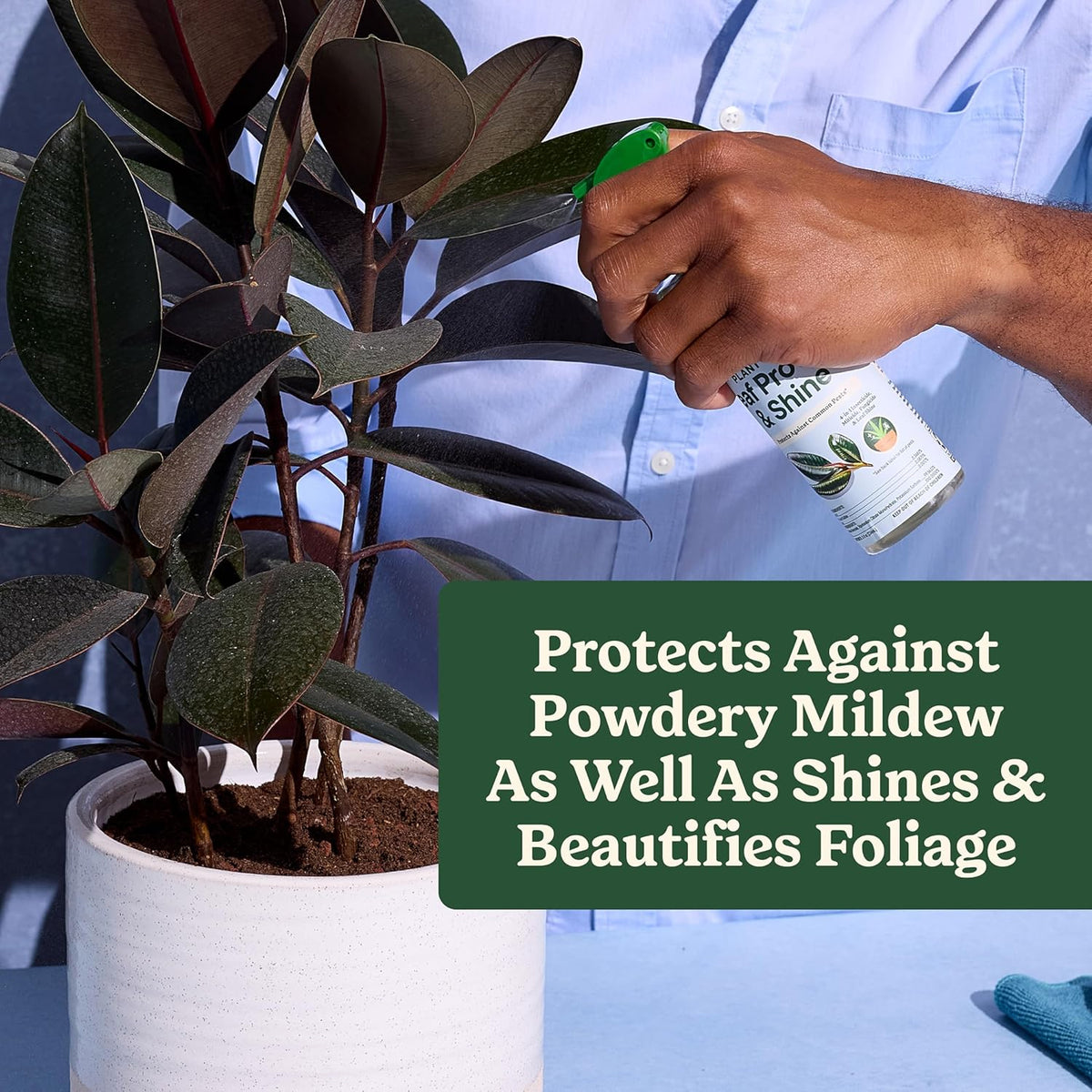 Miracle-Gro Indoor Plant Grow, Feed & Protect Houseplant Care Bundle Father Jim Norris notebooks