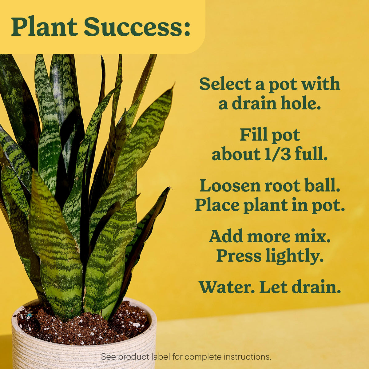 Miracle-Gro Indoor Plant Grow, Feed & Protect Houseplant Care Bundle Father Jim Norris notebooks