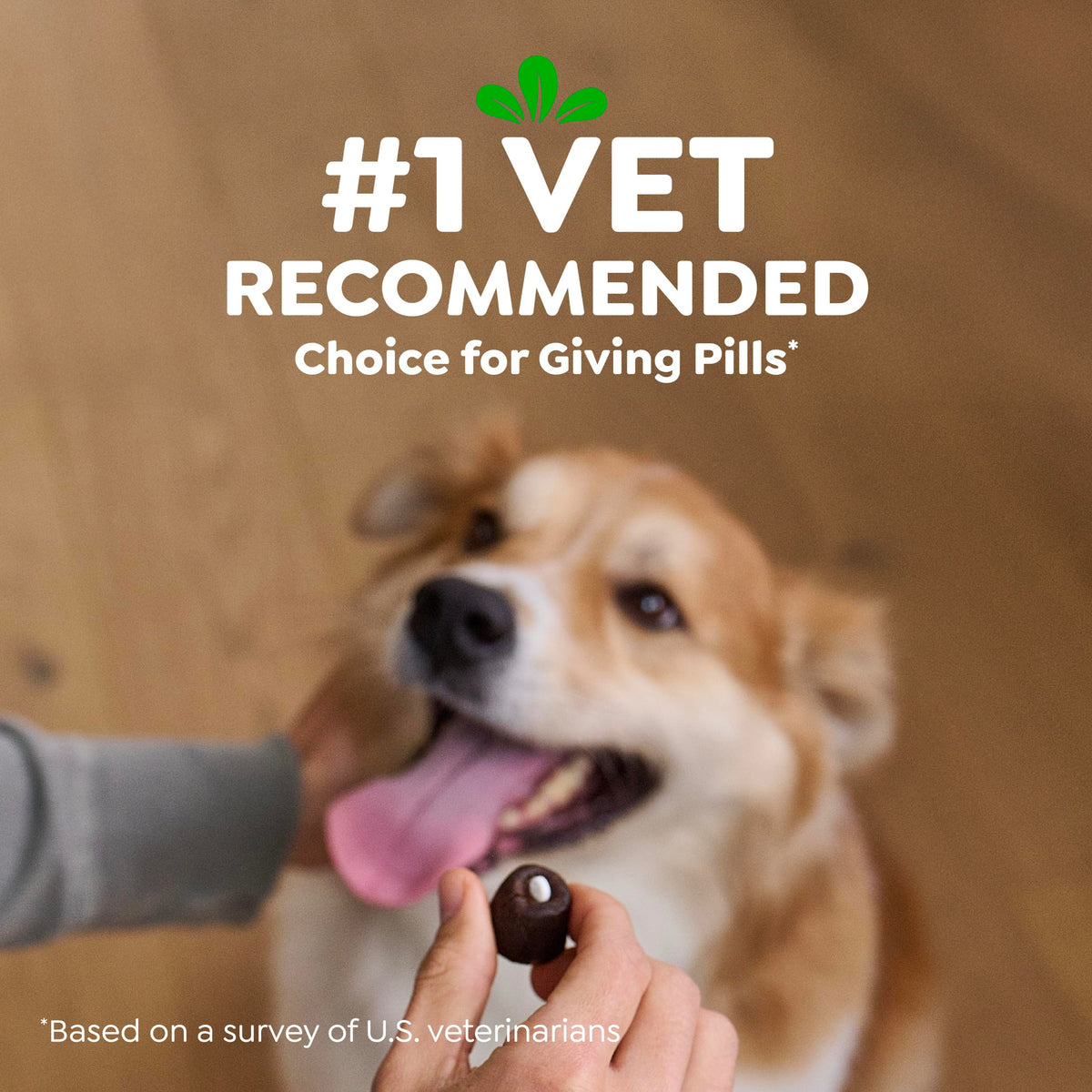 Greenies Pill Pockets Large Size Dog Treats, Hickory Smoke, 15.8 oz Father Jim Norris notebooks