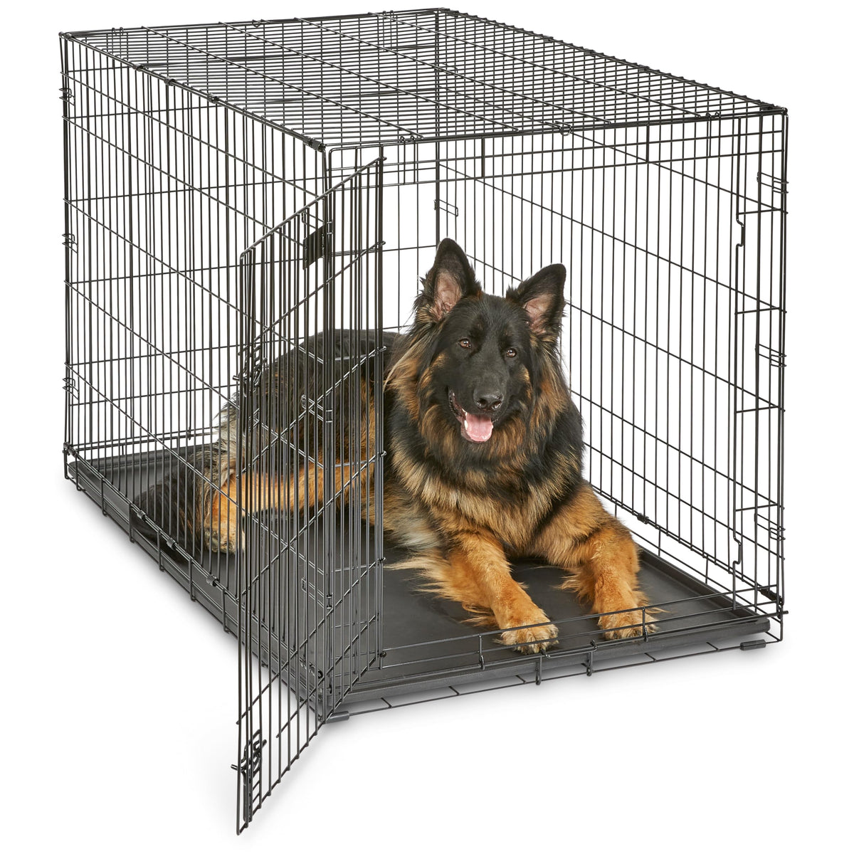 Midwest 36-Inch Single Door iCrate, for Medium-Large Breeds, 41-70 lbs