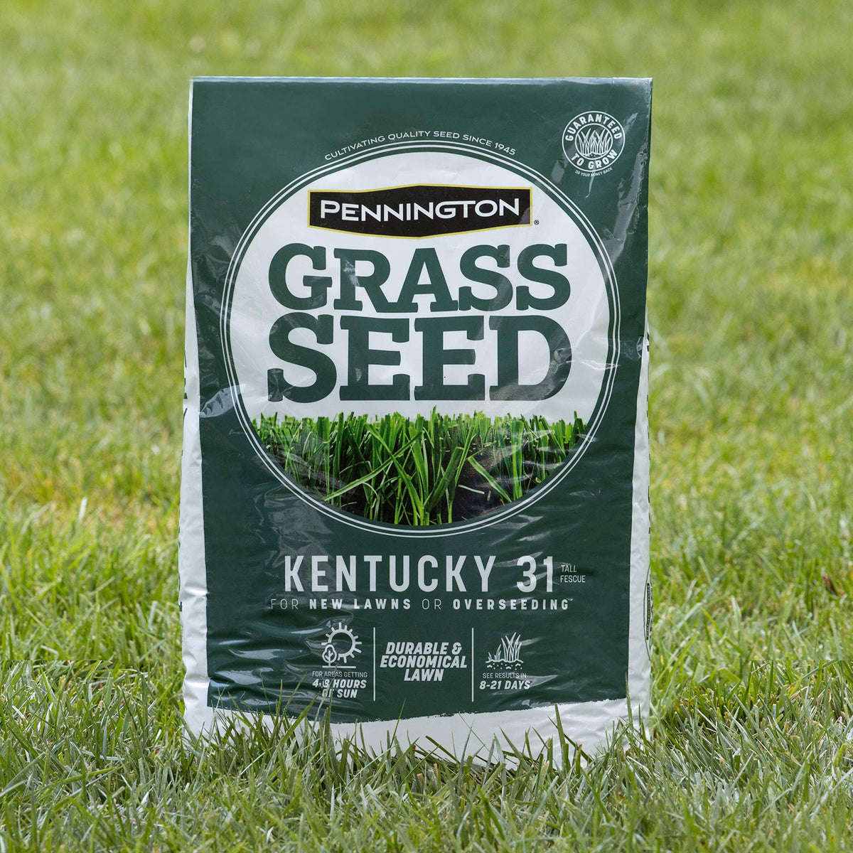 Pennington Kentucky 31 Tall Fescue Grass Seed, Drought-Resistant, 7 LB Father Jim Norris notebooks