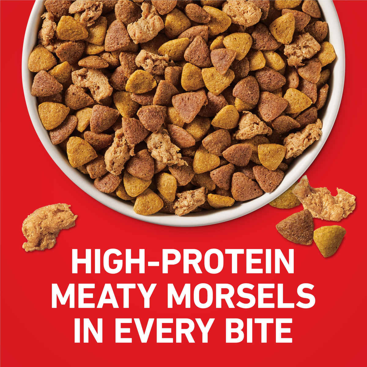Purina ONE Lamb and Rice Formula Dry Dog Food for Digestive Support