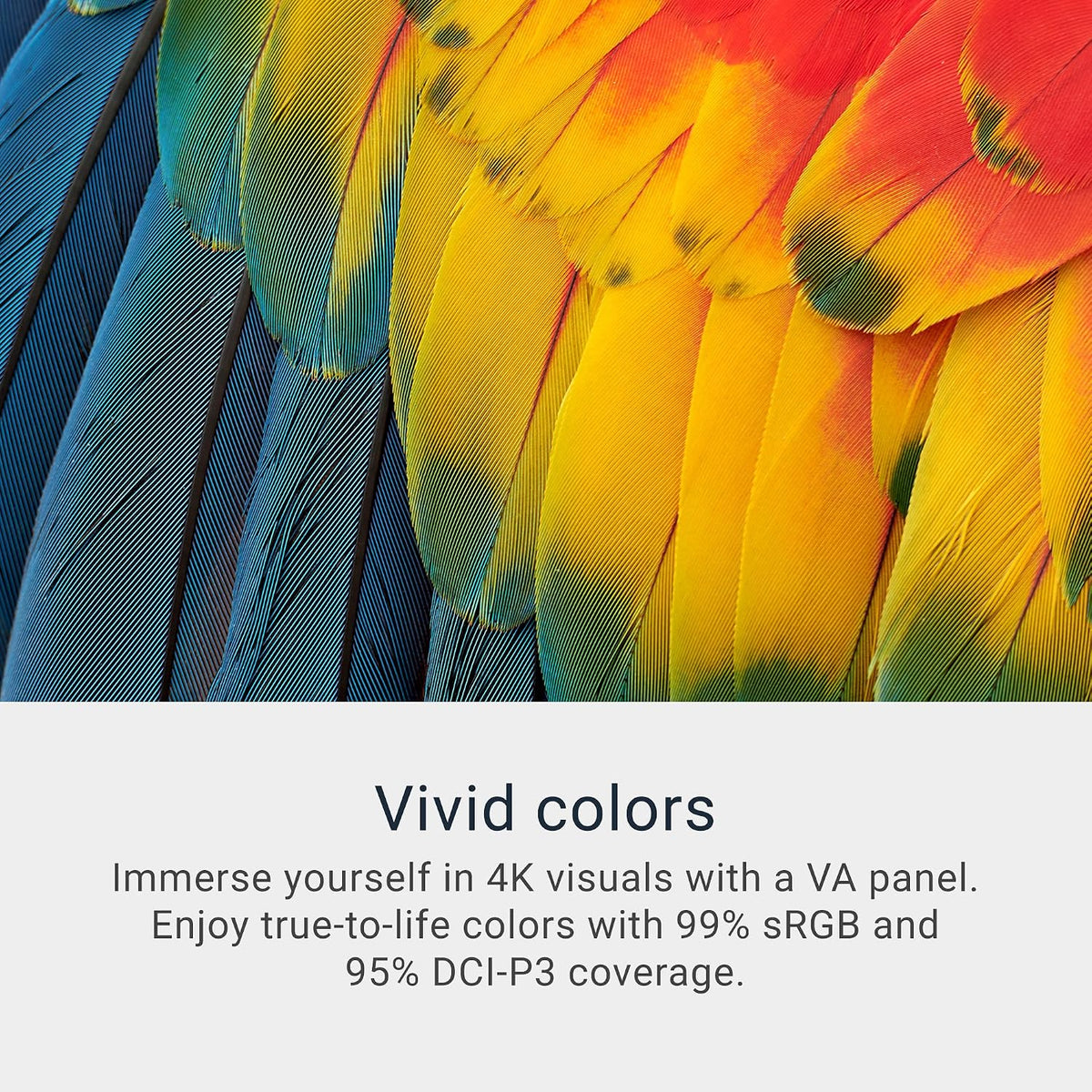 Dell 32 Monitor S3225QS, 4K UHD VA, 120Hz, FreeSync Premium, Eye Comfort Father Jim Norris notebooks