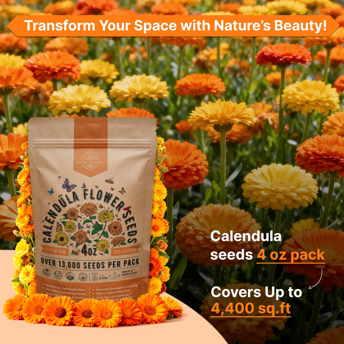 Cosmos Flower Seeds Pack 1 oz - 4,500 Non-GMO Heirloom Annual Seeds for Planting Indoor & Outdoor Gardening, Flower Seed for Garden in Resealable Packet, Floral Mix for Pollinators Perennial Mix Father Jim Norris notebooks