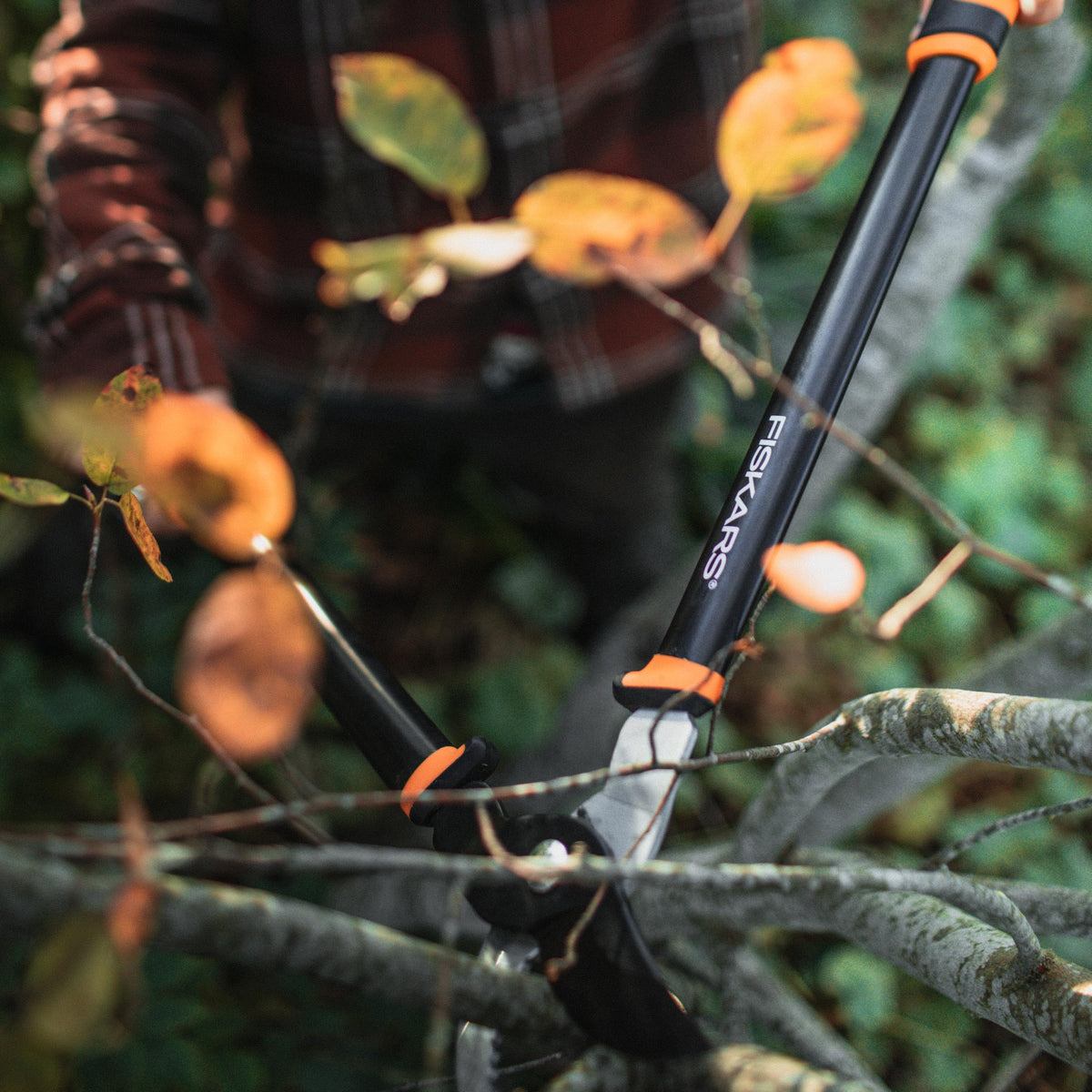 Fiskars 28” Garden Bypass Loppers, Tree Trimmer with 1.5" Cut Capacity Father Jim Norris notebooks