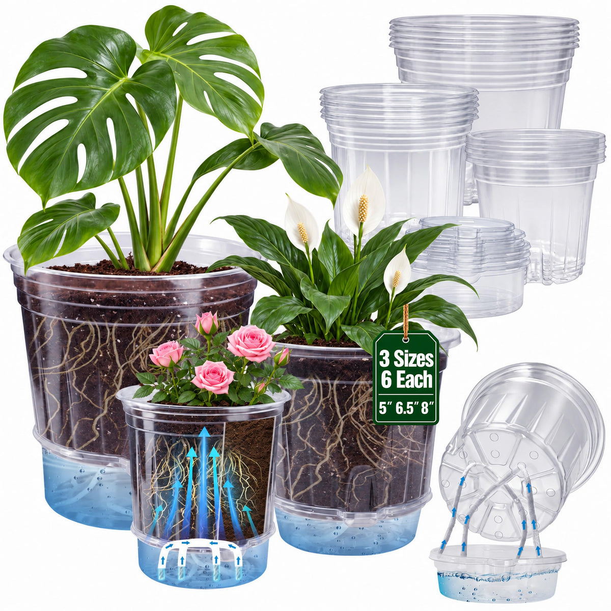 Bluepro Clear Nursery Pots with Humidity Domes, 4 Inch, 30-Pack Father Jim Norris notebooks