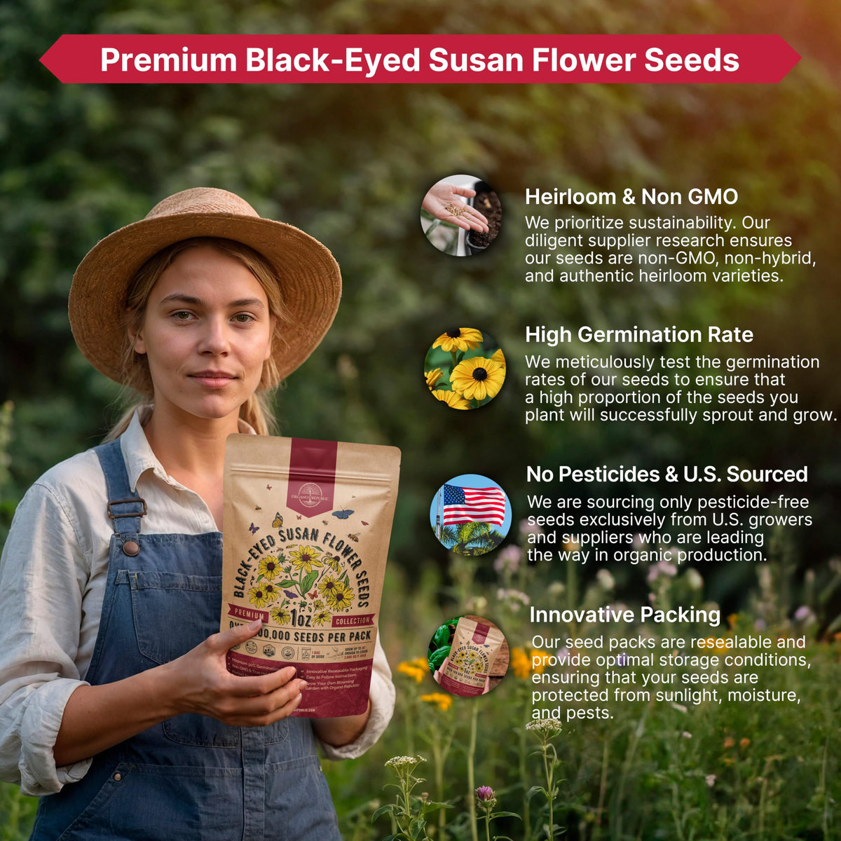 Cosmos Flower Seeds Pack 1 oz - 4,500 Non-GMO Heirloom Annual Seeds for Planting Indoor & Outdoor Gardening, Flower Seed for Garden in Resealable Packet, Floral Mix for Pollinators Perennial Mix Father Jim Norris notebooks