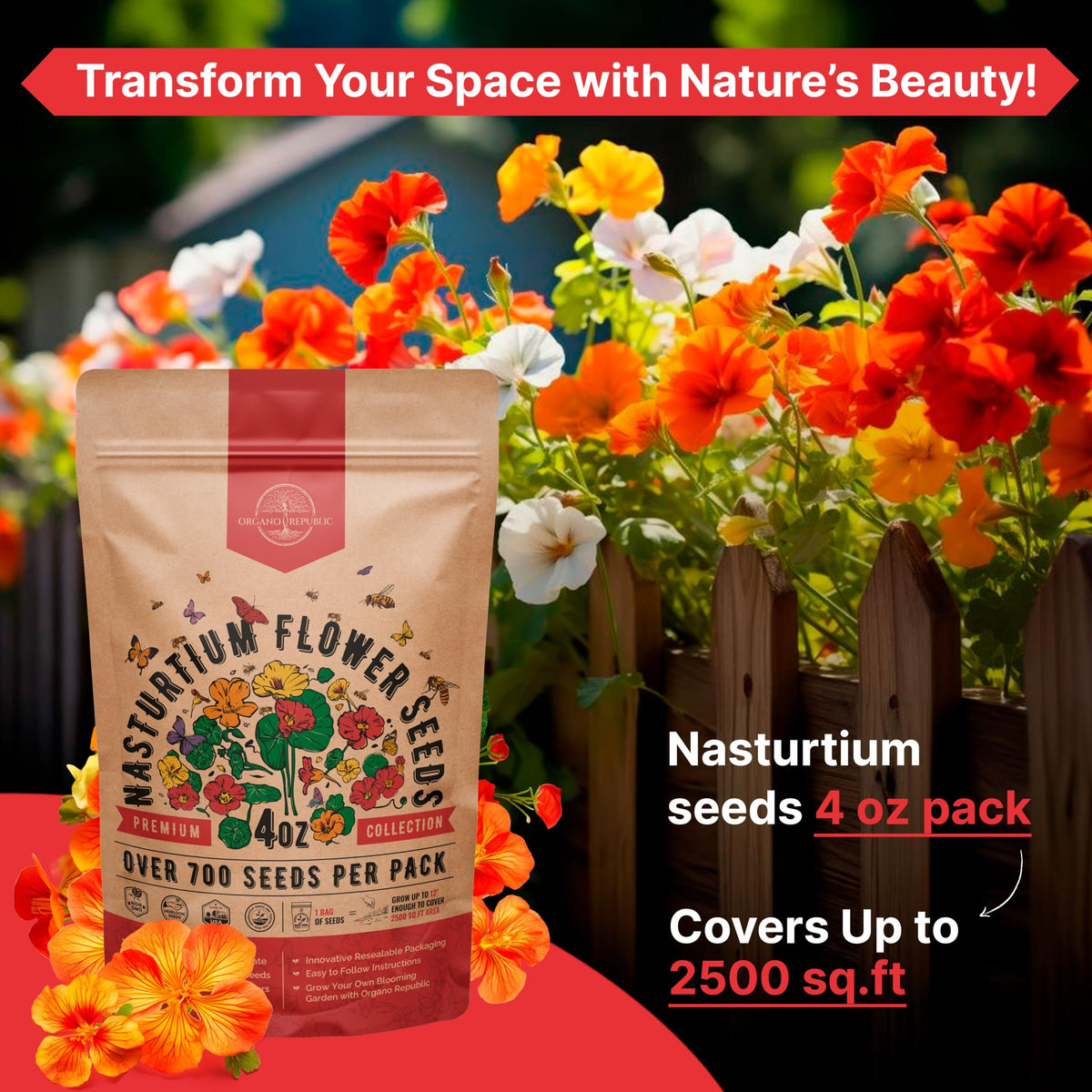 Cosmos Flower Seeds Pack 1 oz - 4,500 Non-GMO Heirloom Annual Seeds for Planting Indoor & Outdoor Gardening, Flower Seed for Garden in Resealable Packet, Floral Mix for Pollinators Perennial Mix Father Jim Norris notebooks