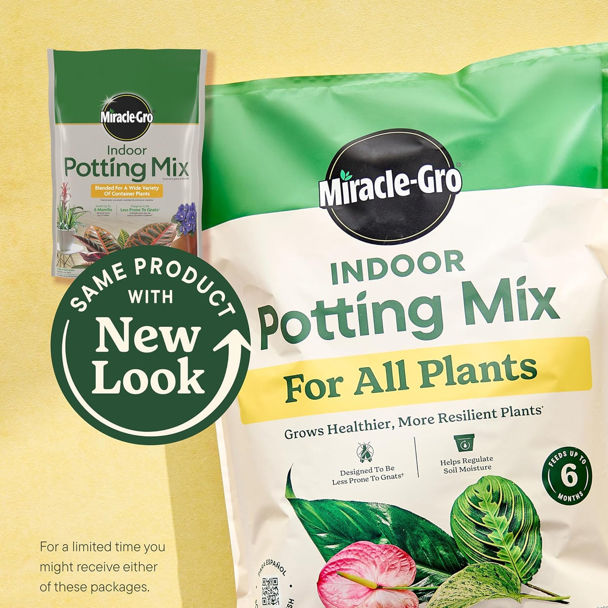 Miracle-Gro Indoor Plant Grow, Feed & Protect Houseplant Care Bundle Father Jim Norris notebooks