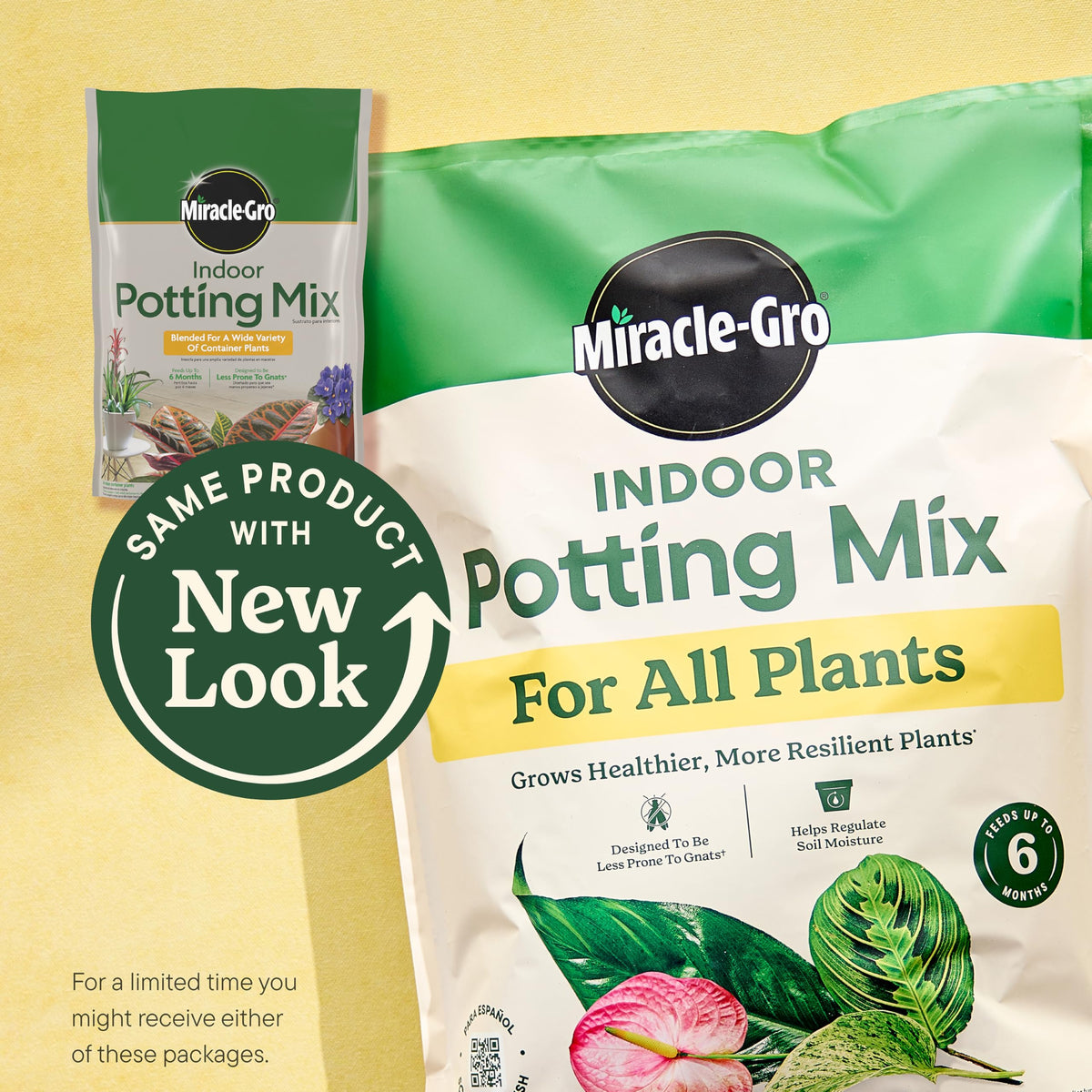 Miracle-Gro Indoor Plant Grow, Feed & Protect Houseplant Care Bundle Father Jim Norris notebooks