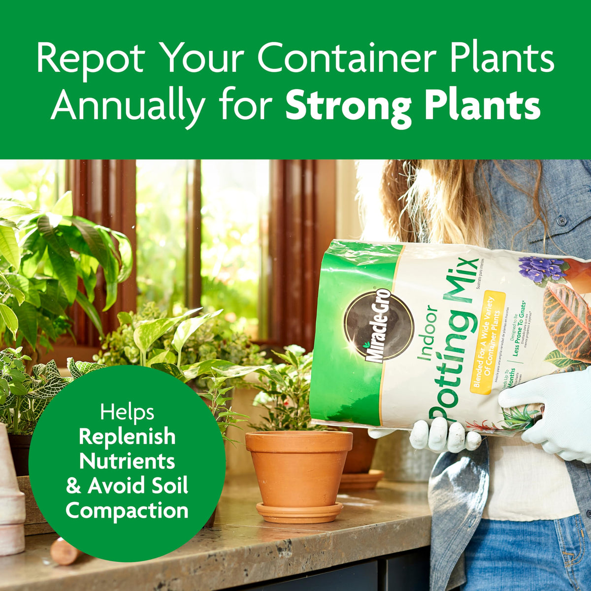 Miracle-Gro Indoor Plant Grow, Feed & Protect Houseplant Care Bundle Father Jim Norris notebooks