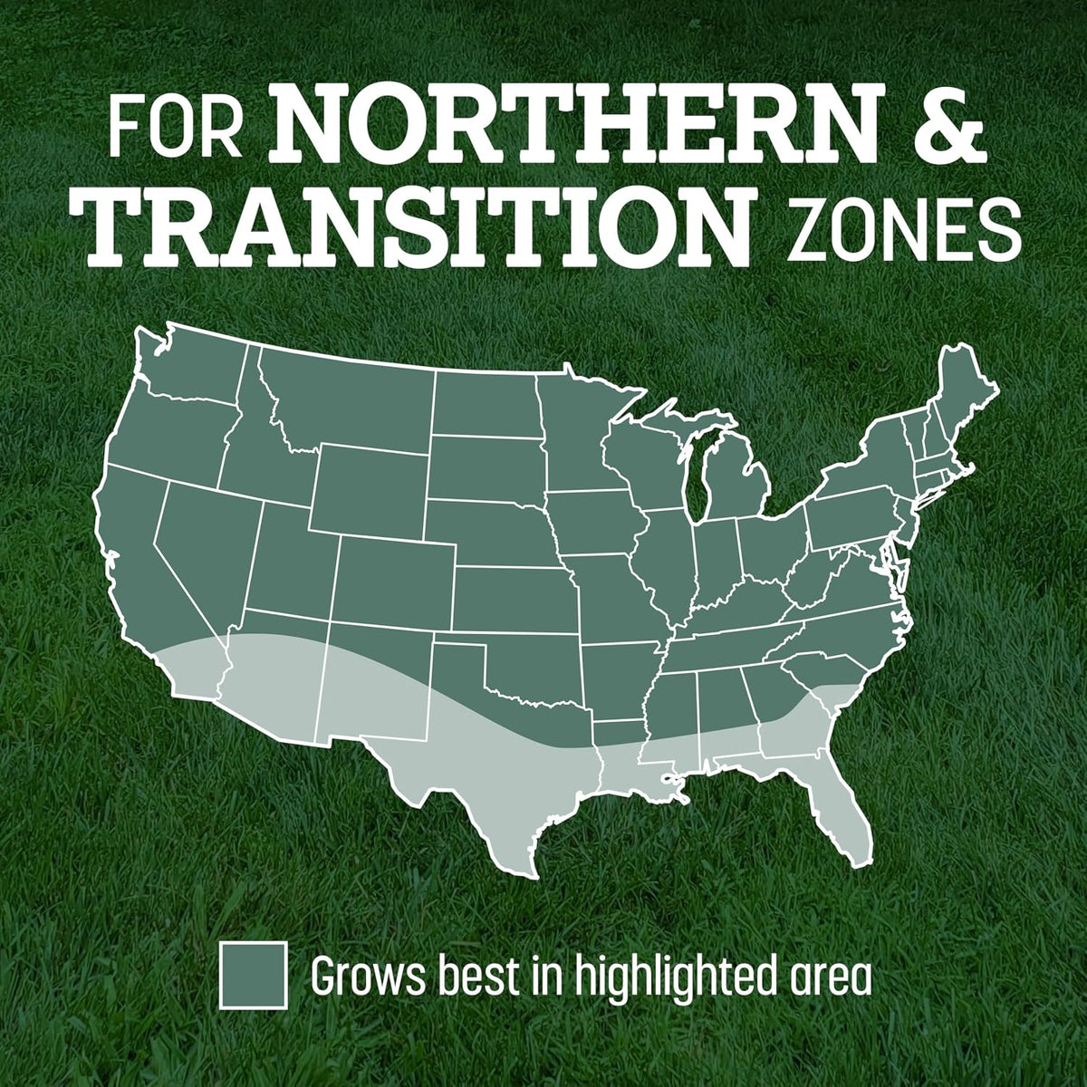 Pennington Kentucky 31 Tall Fescue Grass Seed, Drought-Resistant, 7 LB Father Jim Norris notebooks