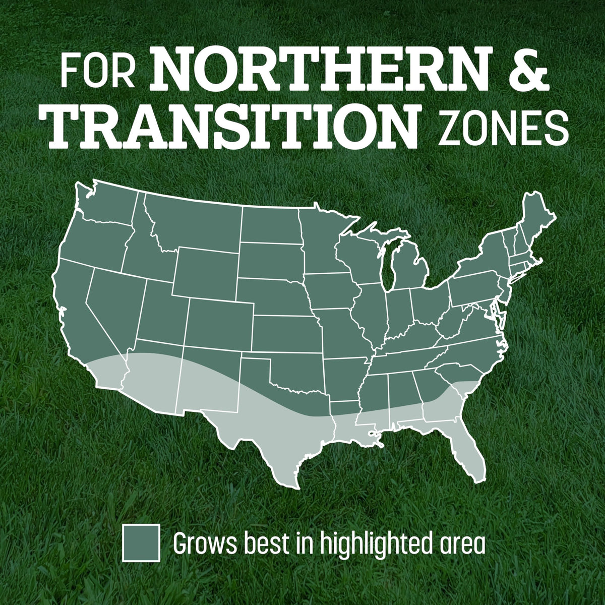 Pennington Kentucky 31 Tall Fescue Grass Seed, Drought-Resistant, 7 LB Father Jim Norris notebooks