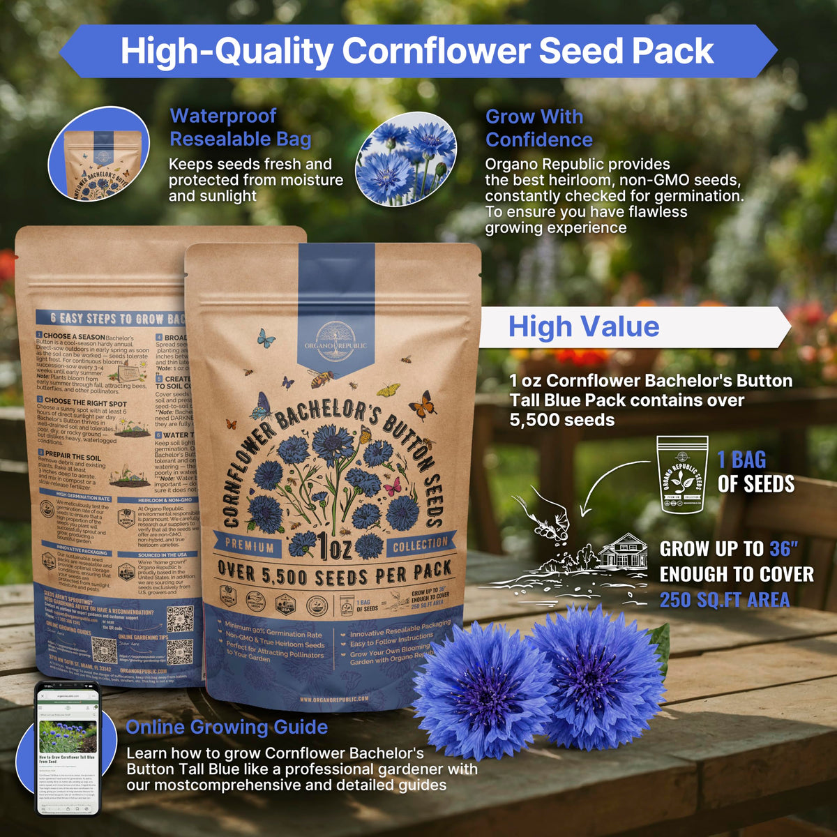 Cosmos Flower Seeds Pack 1 oz - 4,500 Non-GMO Heirloom Annual Seeds for Planting Indoor & Outdoor Gardening, Flower Seed for Garden in Resealable Packet, Floral Mix for Pollinators Perennial Mix Father Jim Norris notebooks