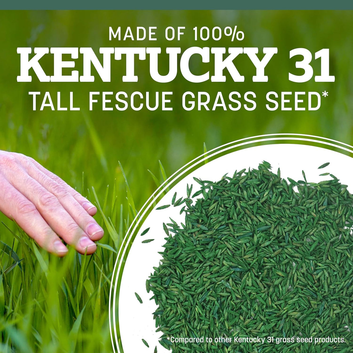 Pennington Kentucky 31 Tall Fescue Grass Seed, Drought-Resistant, 7 LB Father Jim Norris notebooks