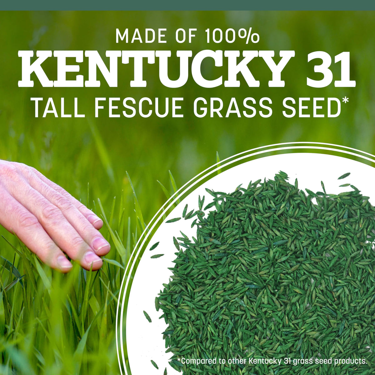 Pennington Kentucky 31 Tall Fescue Grass Seed, Drought-Resistant, 7 LB Father Jim Norris notebooks