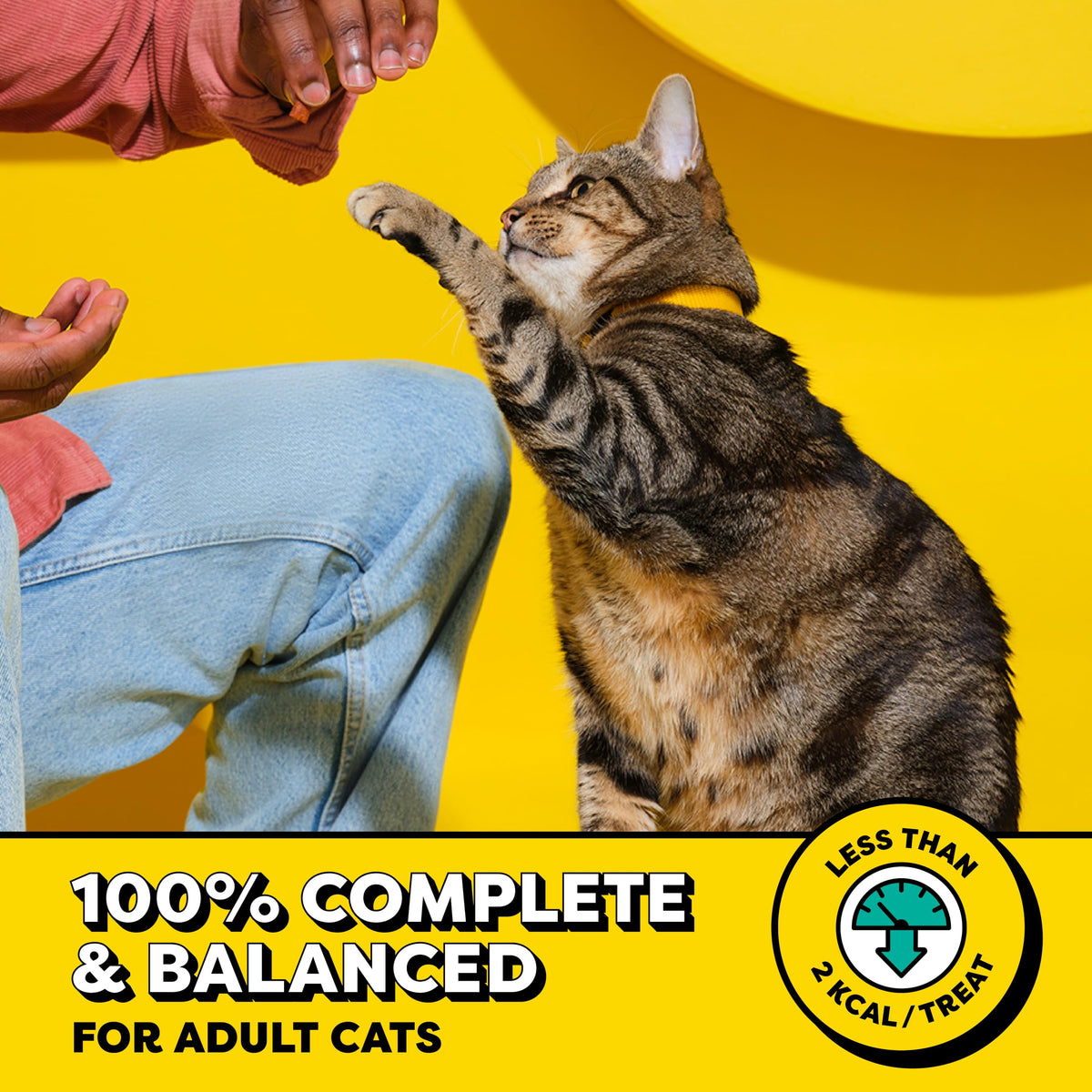 Temptations MixUps Crunchy Cat Treats, Surfer's Delight, 16 oz Father Jim Norris notebooks