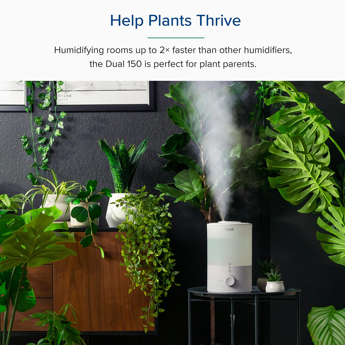 Levoit Humidifiers for Bedroom, Dishwasher Safe, Blue Light-Safe, 3.2L