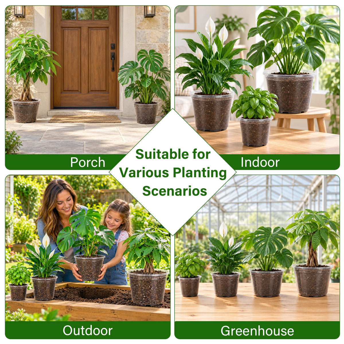 Bluepro Clear Nursery Pots with Humidity Domes, 4 Inch, 30-Pack Father Jim Norris notebooks